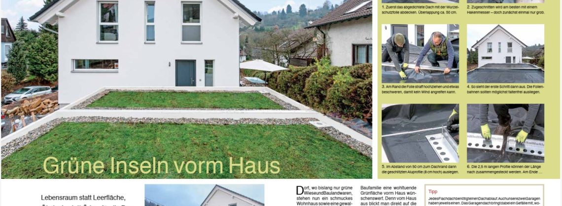 Grüne Inseln vorm Haus