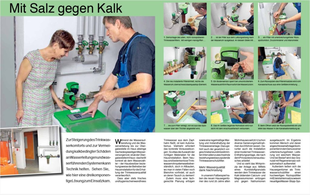 Mit Salz gegen Kalk Anleitung