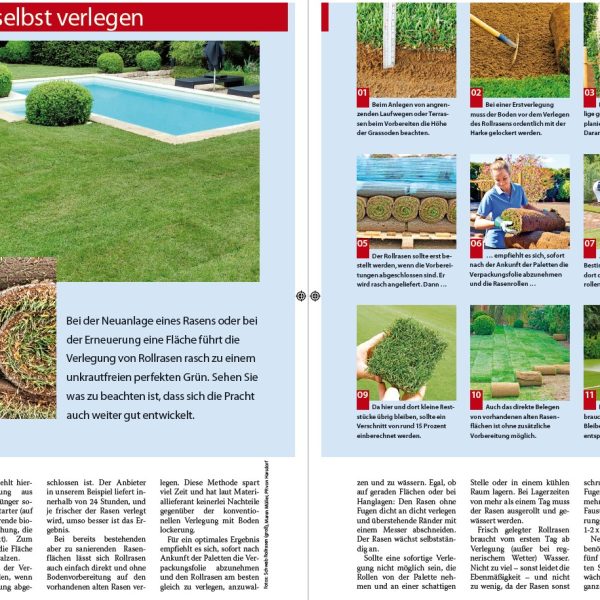 Anleitungen 11 Rollrasen selbst verlegen Schritt für Schritt Anleitung
