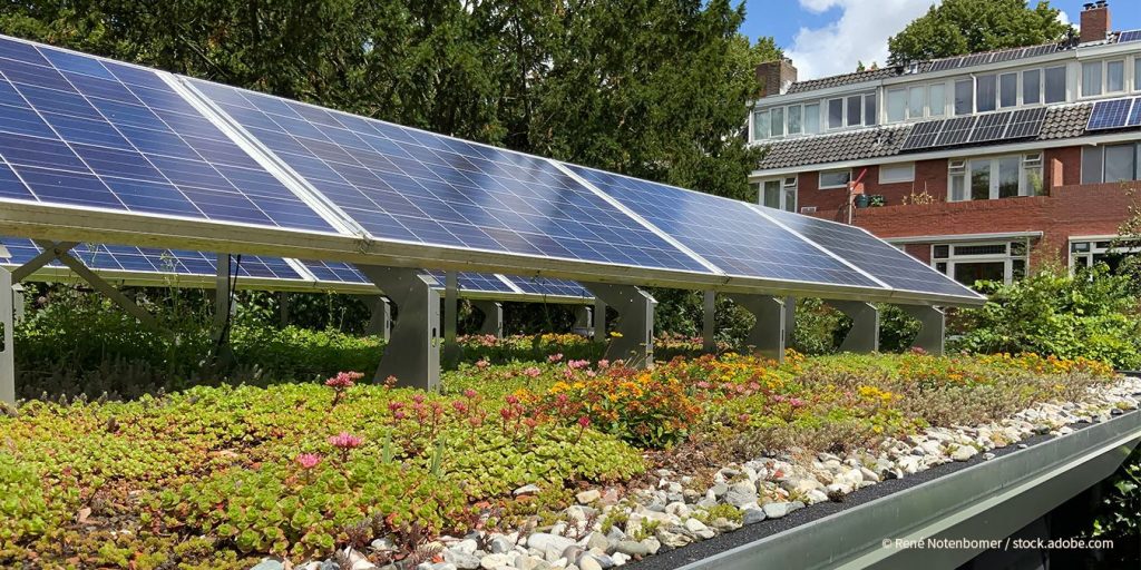 Solar-Gründach_PV Module und Dachbegrünung Flachdach
